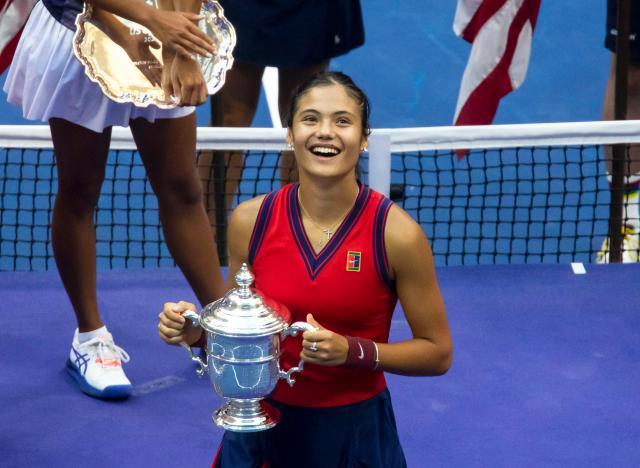 吸引黄蜂强 吸引黄蜂强