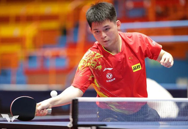 成高阶组织 成高阶组织